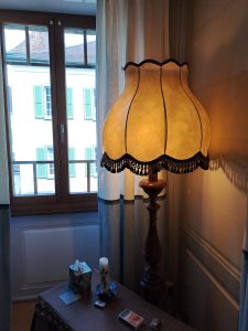 abat-jour-peau-porc-passementerie-glands